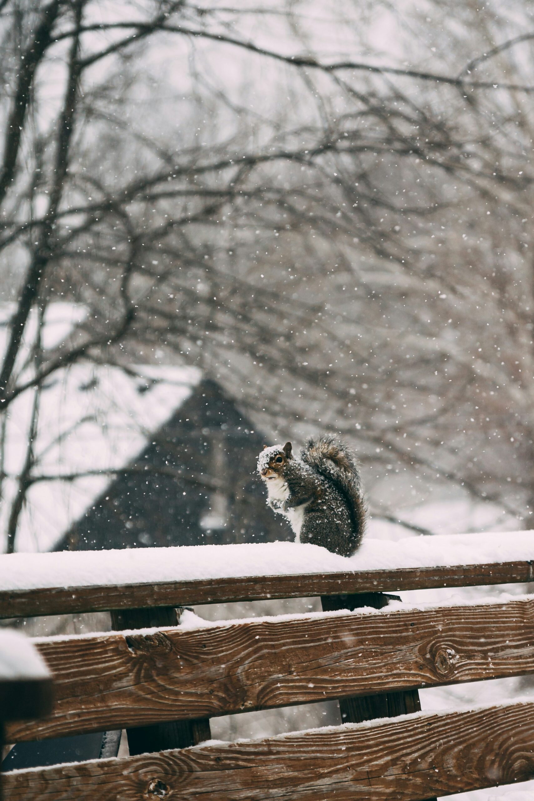 Winterize your Michigan deck